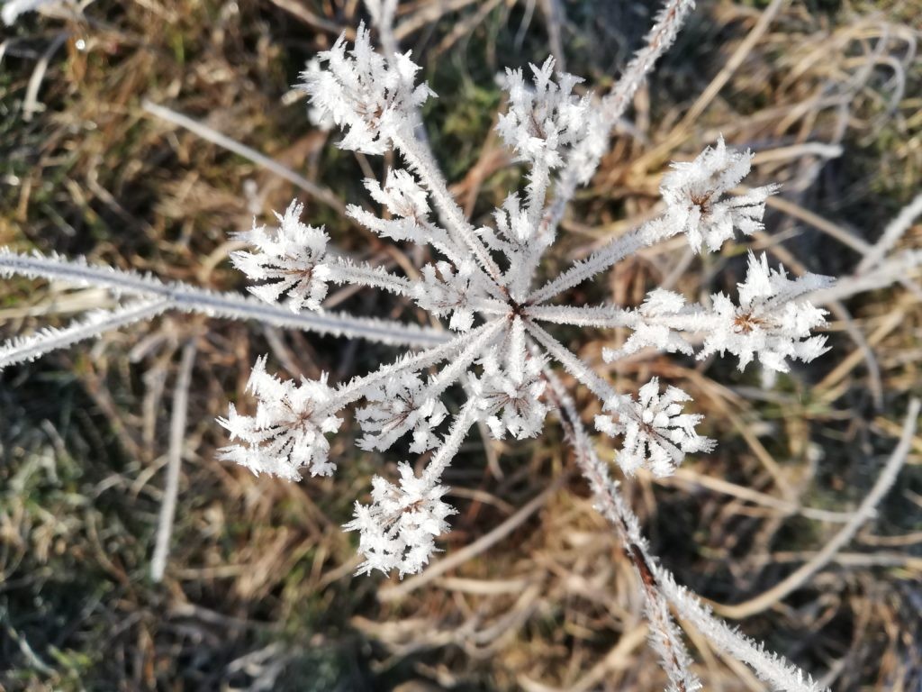 Angekommen - Wochenlieblinge Glücksfinderin Umzug