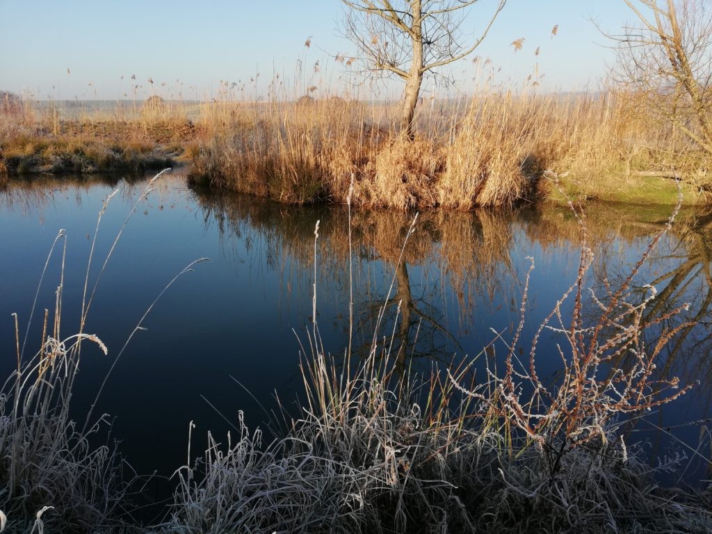 Glück