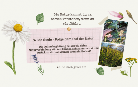 Kopie von Banner Wilde Seele (1200 × 800 px)