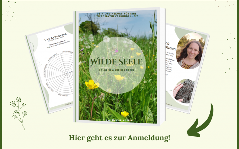 Kopie von Homepage Wilde Seele Cover (1)